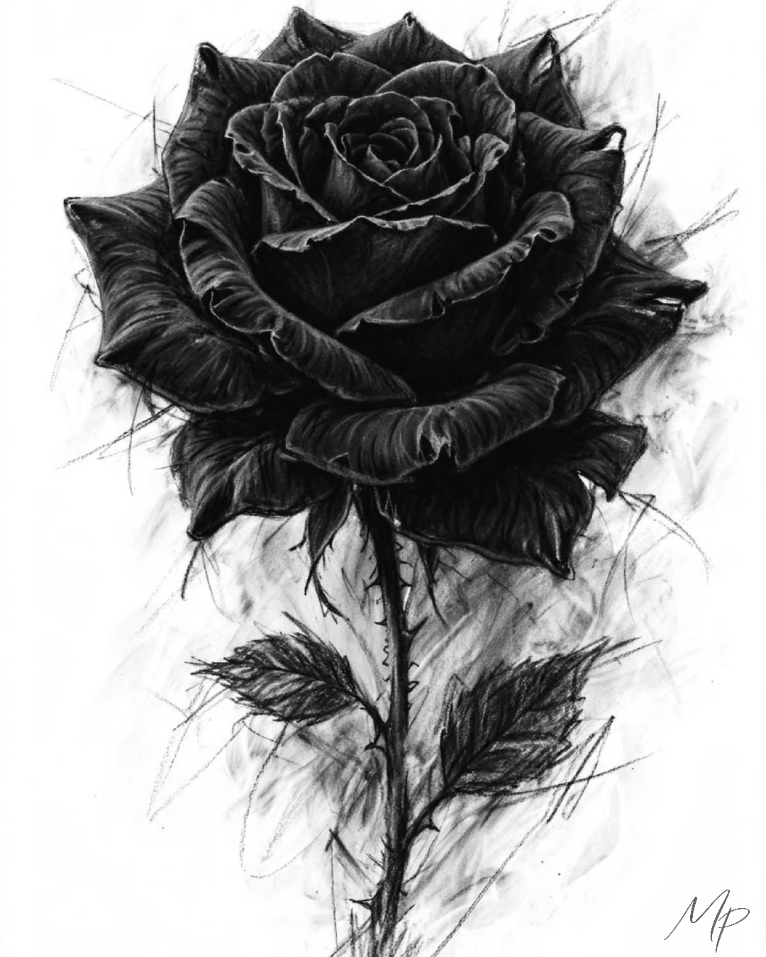 La Rose Noire