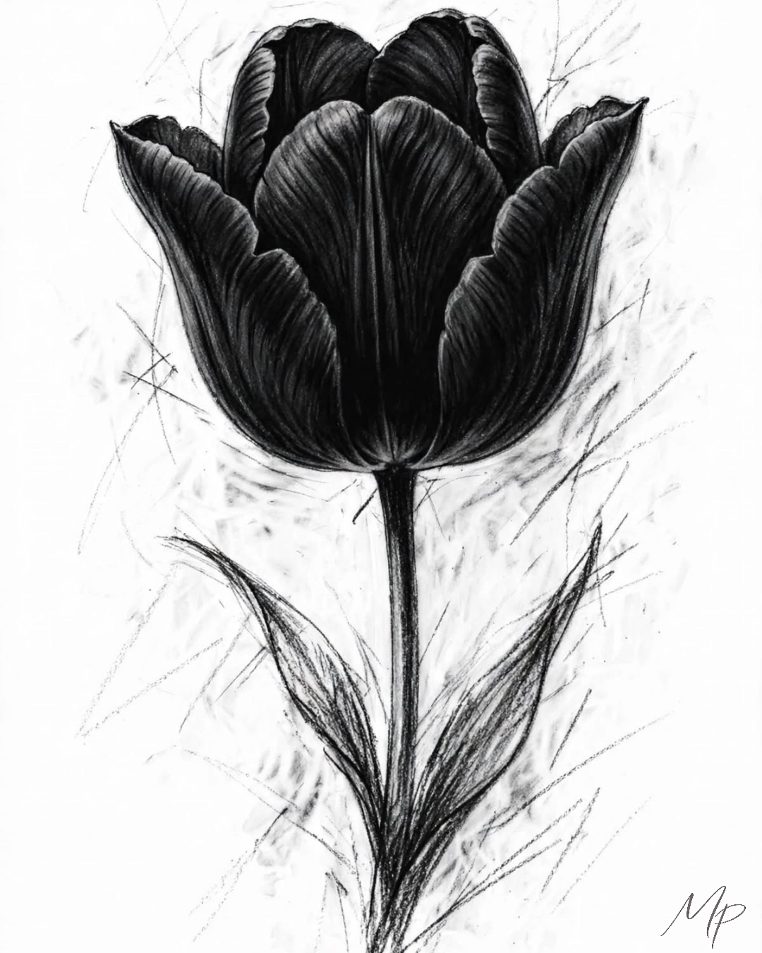 La Tulipe Noire